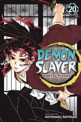 Koyoharu Gotouge - Demon Slayer: Kimetsu no Yaiba, Vol. 20, Häftad