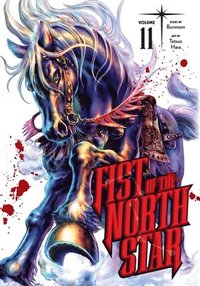 bokomslag Fist of the North Star, Vol. 11: Volume 11