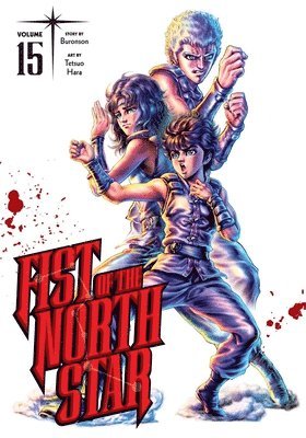 bokomslag Fist of the North Star, Vol. 15: Volume 15