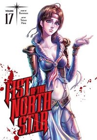 bokomslag Fist of the North Star, Vol. 17: Volume 17