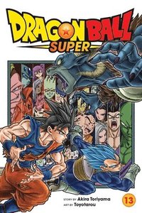bokomslag Dragon Ball Super, Vol. 13