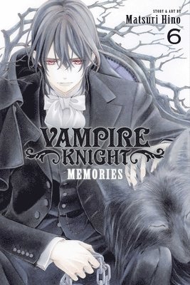 bokomslag Vampire Knight: Memories, Vol. 6