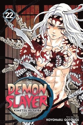 Koyoharu Gotouge - Demon Slayer: Kimetsu no Yaiba, Vol. 22, Häftad
