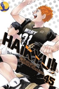 bokomslag Haikyu!!, Vol. 45: Volume 45