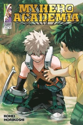 bokomslag My Hero Academia, Vol. 29