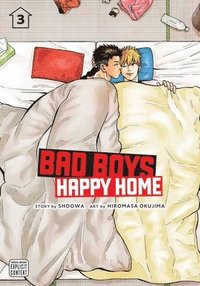 bokomslag Bad Boys, Happy Home, Vol. 3: Volume 3