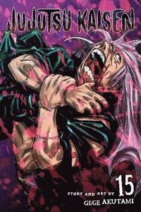 bokomslag Jujutsu Kaisen, Vol. 15: Volume 15