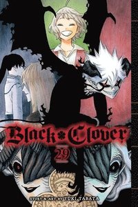 bokomslag Black Clover, Vol. 29