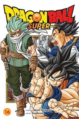 bokomslag Dragon Ball Super, Vol. 16