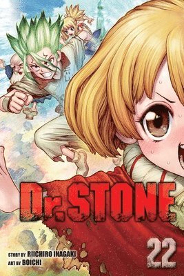 bokomslag Dr. STONE, Vol. 22