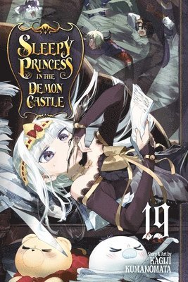 bokomslag Sleepy Princess in the Demon Castle, Vol. 19