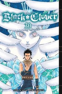 bokomslag Black Clover, Vol. 30