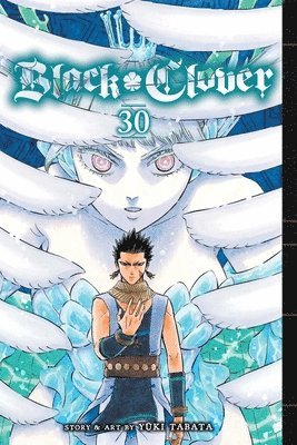 bokomslag Black Clover, Vol. 30: Volume 30