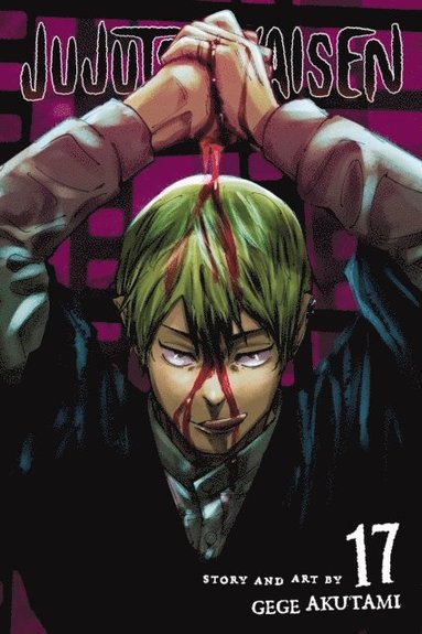 bokomslag Jujutsu Kaisen, Vol. 17