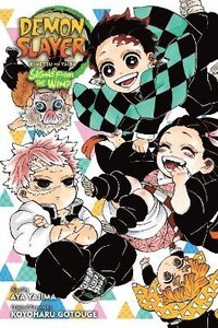 bokomslag Demon Slayer: Kimetsu no Yaiba-Signs From the Wind