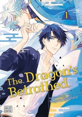 The Dragon's Betrothed, Vol. 1 1