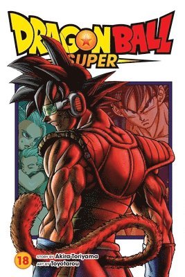 bokomslag Dragon Ball Super, Vol. 18: Volume 18