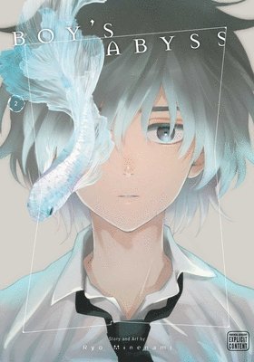 Boy's Abyss, Vol. 2: Volume 2 1