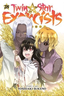 Yoshiaki Sukeno - Twin Star Exorcists, Vol. 28, Häftad