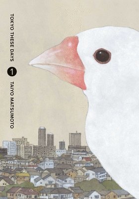 Taiyo Matsumoto - Tokyo These Days, Vol. 1, Inbunden