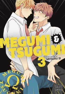 bokomslag Megumi & Tsugumi, Vol. 3: Volume 3