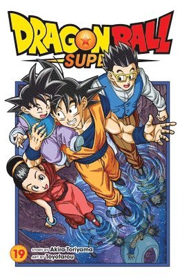 bokomslag Dragon Ball Super, Vol. 19: Volume 19