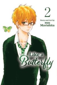 bokomslag Like a Butterfly, Vol. 2