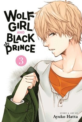 bokomslag Wolf Girl and Black Prince, Vol. 3
