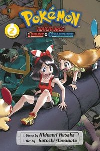 bokomslag Pokmon Adventures: Omega Ruby and Alpha Sapphire, Vol. 2: Volume 2