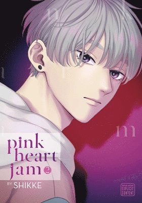 bokomslag Pink Heart Jam, Vol. 2: Volume 2