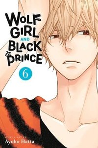 bokomslag Wolf Girl and Black Prince, Vol. 6