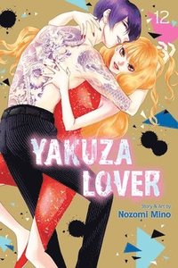 bokomslag Yakuza Lover, Vol. 12