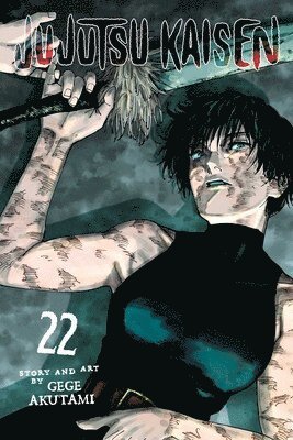 bokomslag Jujutsu Kaisen, Vol. 22