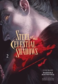 bokomslag Steel of the Celestial Shadows, Vol. 2: Volume 2