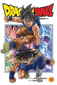 bokomslag Dragon Ball Super, Vol. 20: Volume 20