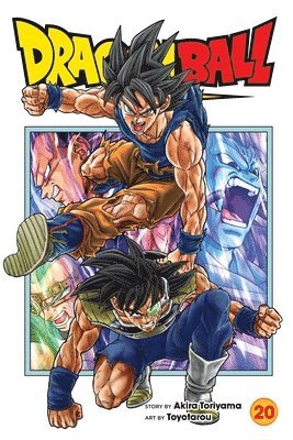 bokomslag Dragon Ball Super, Vol. 20