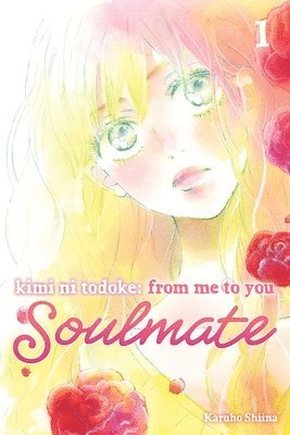 Kimi ni Todoke: From Me to You: Soulmate, Vol. 1 1