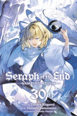 bokomslag Seraph of the End, Vol. 30: Volume 30