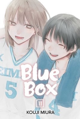 bokomslag Blue Box, Vol. 11