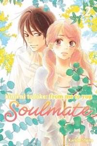 bokomslag Kimi ni Todoke: From Me to You: Soulmate, Vol. 2: Volume 2