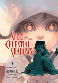 bokomslag Steel of the Celestial Shadows, Vol. 3