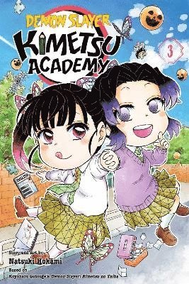 bokomslag Demon Slayer: Kimetsu Academy, Vol. 3