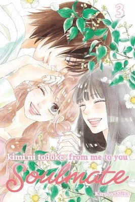 bokomslag Kimi ni Todoke: From Me to You: Soulmate, Vol. 3