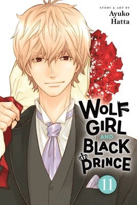 Wolf Girl and Black Prince, Vol. 11 1