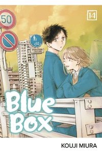 bokomslag Blue Box, Vol. 14: Volume 14