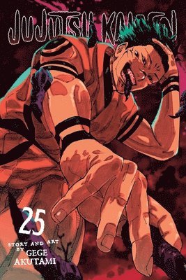 bokomslag Jujutsu Kaisen, Vol. 25: Volume 25