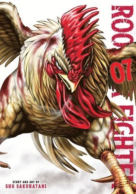 bokomslag Rooster Fighter, Vol. 7