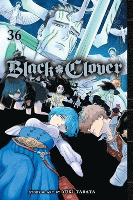 Yuki Tabata - Black Clover, Vol. 36, Häftad