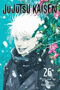 bokomslag Jujutsu Kaisen, Vol. 26: Volume 26