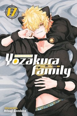 bokomslag Mission: Yozakura Family, Vol. 17